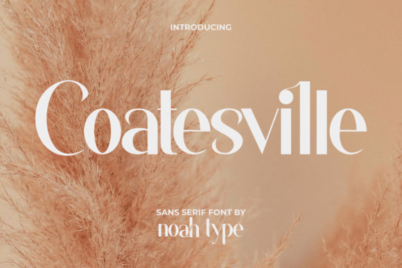 Coatesville Font: Elevate Your Campaign Visuals