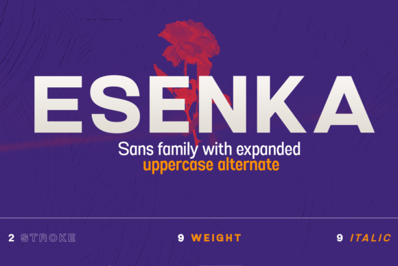 Esenka: The Sans Serif Font That Elevates Brand Identity