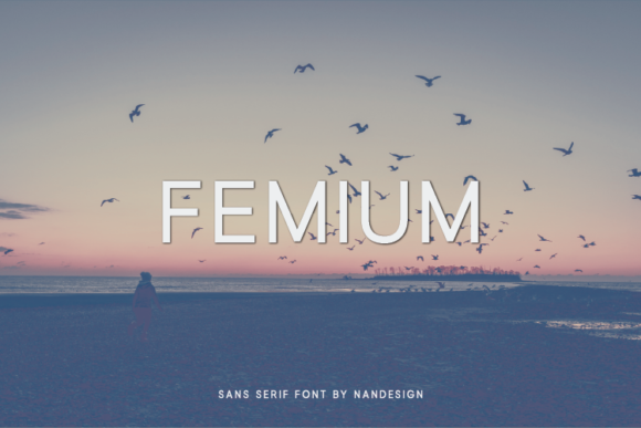 Femium: A Modern Sans Serif Font for Distinct Branding