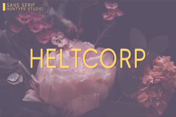 Heltcorp Font Review: Modern Sans Serif for Makers