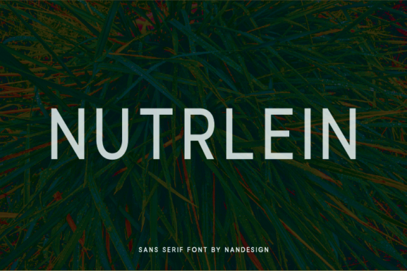 Nutrlein: A Refined Sans Serif for Modern Editorial Design