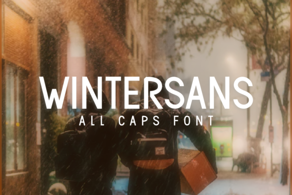 Wintersans: The Classic Sans Serif Font for Modern Branding